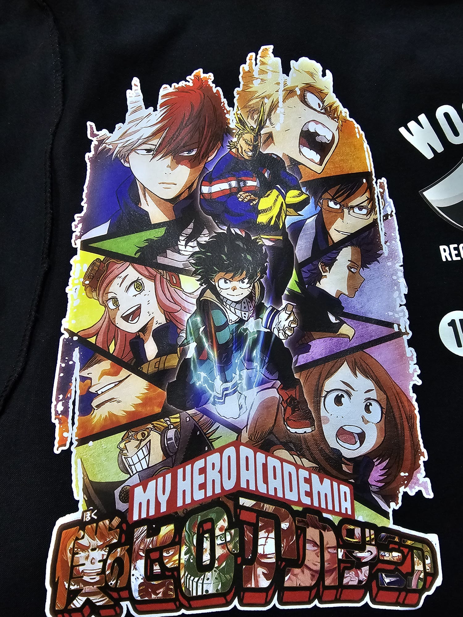 SKODEX SKX A30-DTF a Textil - Imagen 17